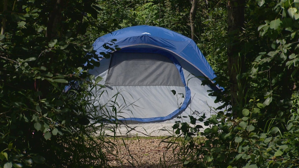 Une tente entre les arbres.