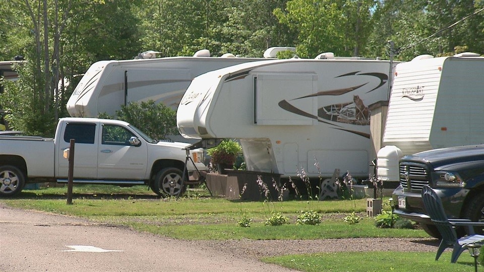 Des roulottes dans un camping