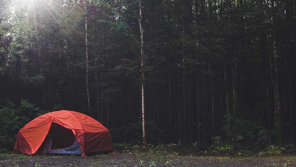 Une tente rouge est installée dans une forêt