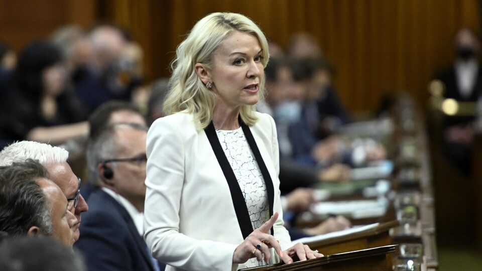 Candice Bergen debout à la Chambre des communes.