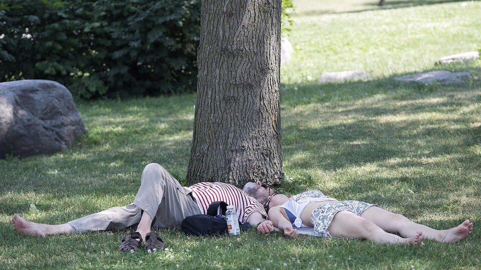 Deux personnes se reposent sous un arbre dans un parc.