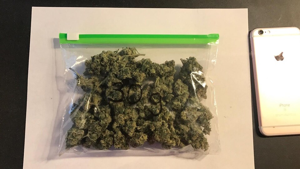 30g de cannabis séché