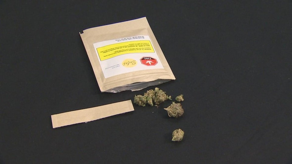 Des fleurs séchées de cannabis s'échappent du sachet couché sur une table