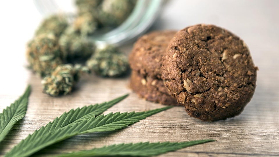 Des biscuits posés sur une table, entourés de cannabis séché et de feuilles de cannabis.