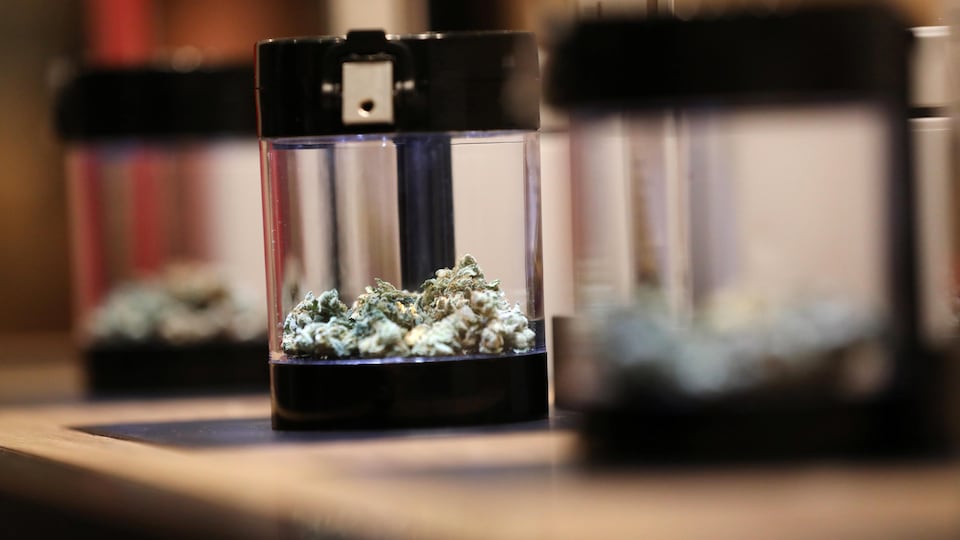Cannabis dans un contenant en vitre.