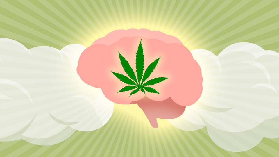 Une feuille de cannabis superposée sur un cerveau entouré de fumée. 