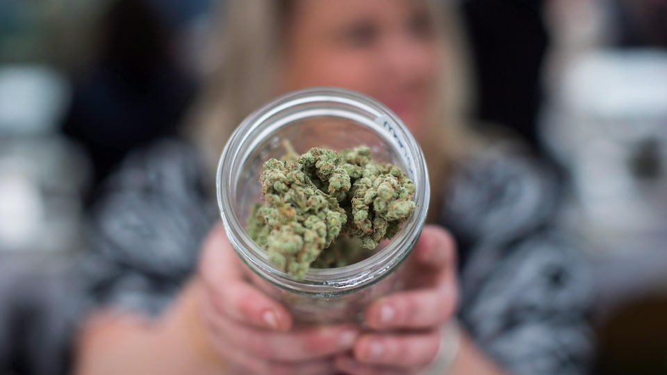 De la marijuana dans un bocal en verre proposée dans un vendeur dans un comptoir de vente de cannabis