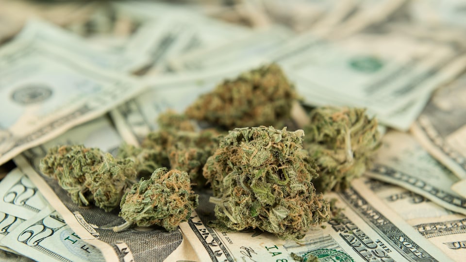 De la marijuana sur des billets de banque.