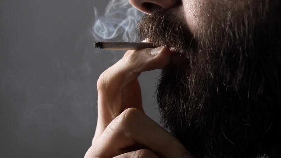 Légalisation de la marijuana