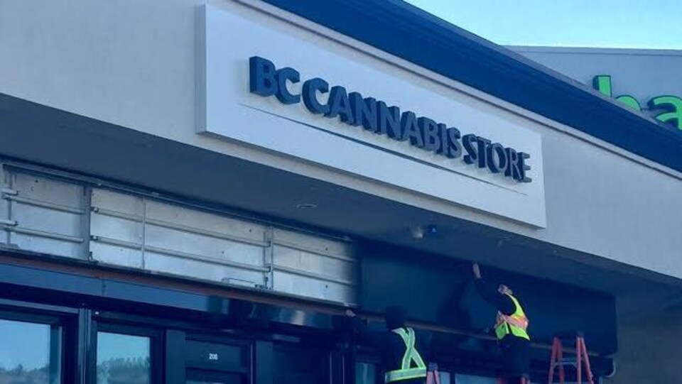 Deux hommes sur des échelles installent un panneau de métal sur la devanture d'un magasin inscrit BC cannabis store. 
