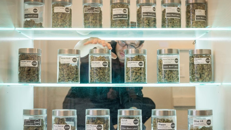 Un jeune homme a la main sur un pot de marijuana sur une étagère.