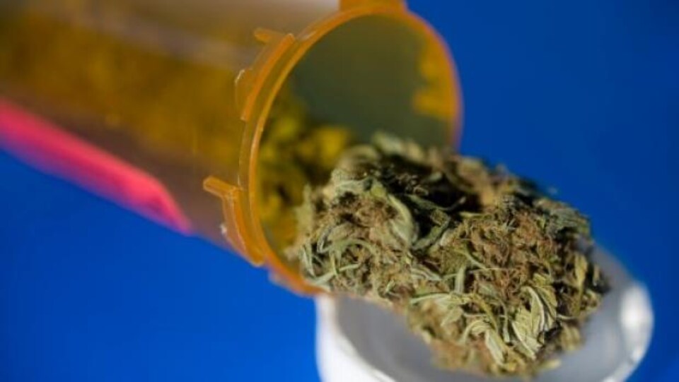 De la marijuana médicinale