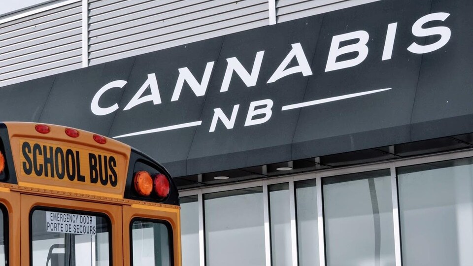 Un autobus scolaire devant un magasin Cannabis NB