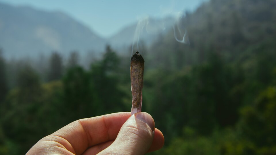 Une main tient un joint devant des montagnes.