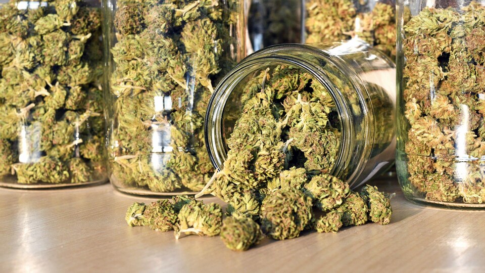 Cannabis dans un pot en verre.