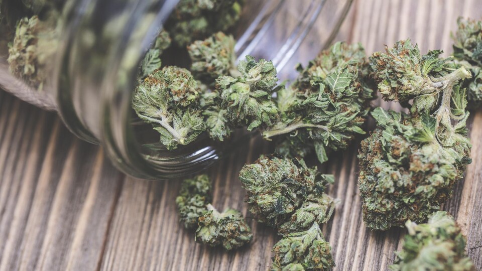 Marijuana