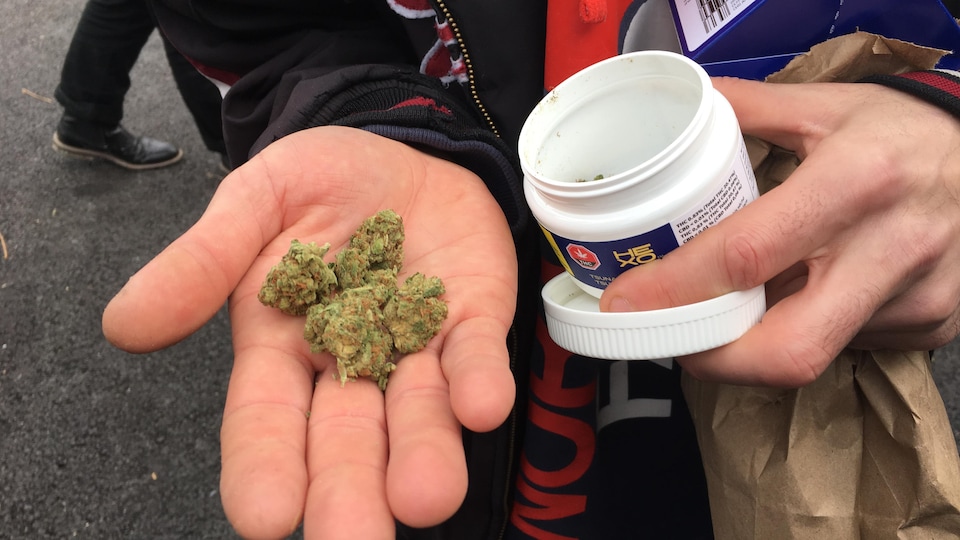 Un client de la SQDC tient du cannabis dans sa main.
