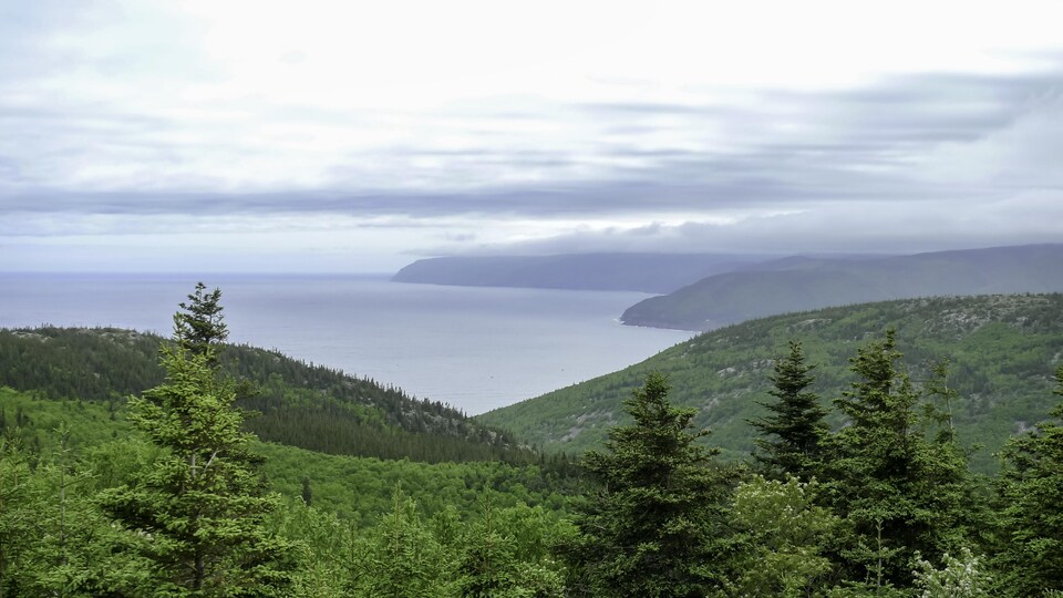 Des collines près de l'océan.