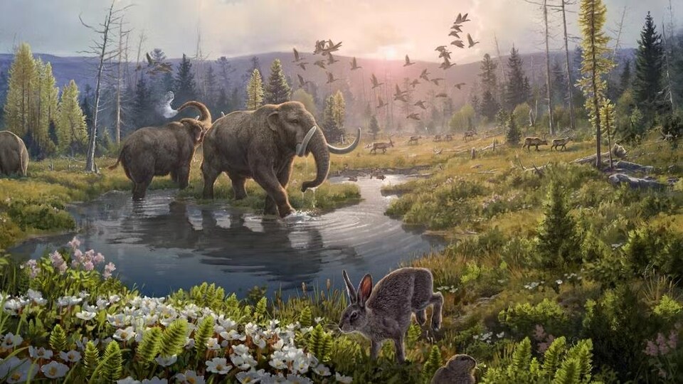 Illustration montrant deux mastodontes.