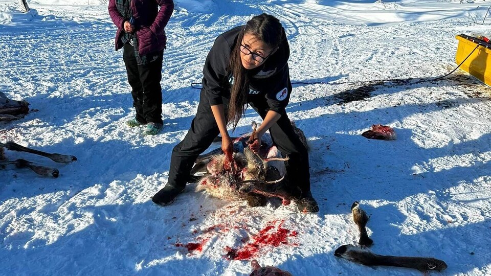 Une personne tient un couteau et une partie de caribou dans ses mains, sur le sol enneigé.