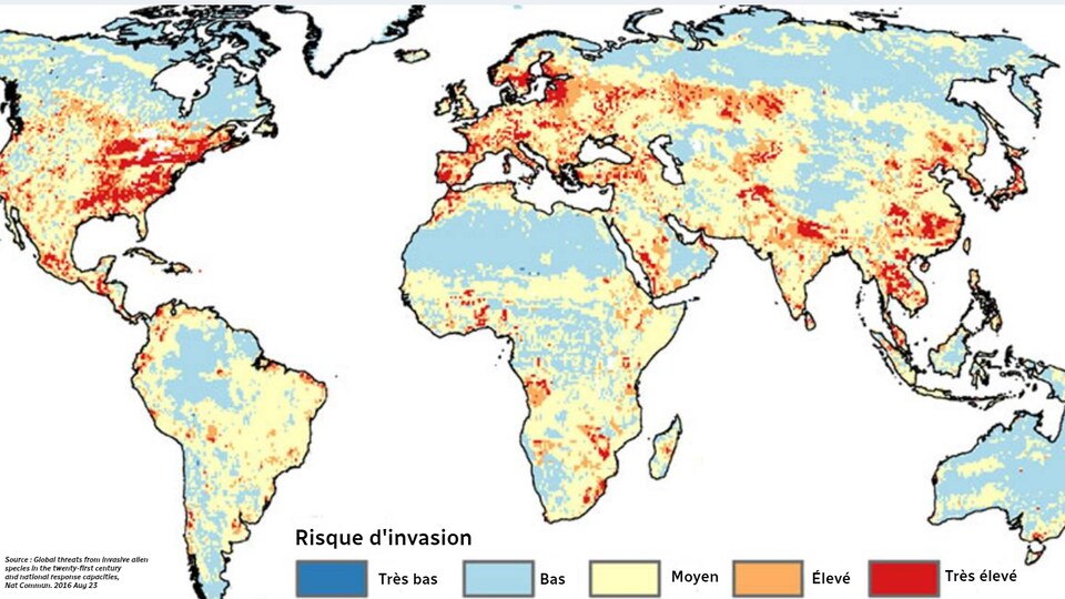 Les espèces envahissantes, une menace écologique et économique | Les