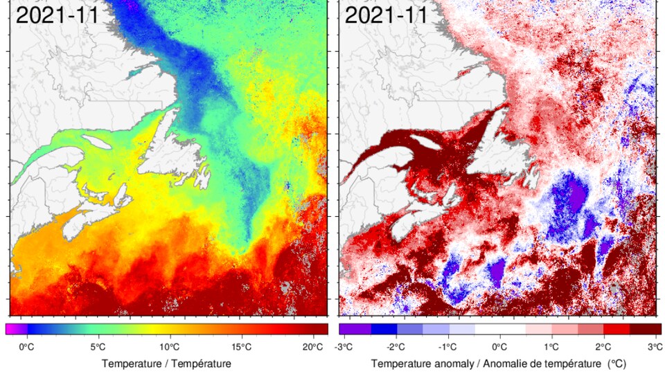 Deux cartes montrent la température des eaux du golfe avec des couleurs. La carte de droite presque entièrement rouge foncée démontre que la température des eaux du golfe était de 3 degrés Celsius supérieur à la moyenne de 1982 à 2010.