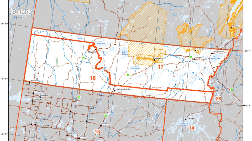 La chasse sportive à l’orignal est suspendue dans la zone 17 cette ...