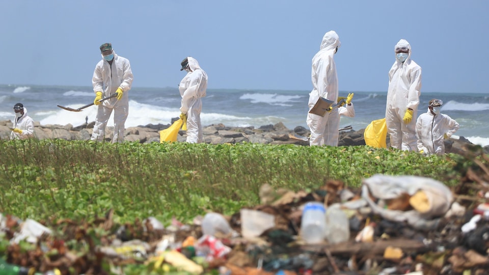 Des membres de l'armée sri-lankaise enlèvent des débris sur une plage près de Colombo. 