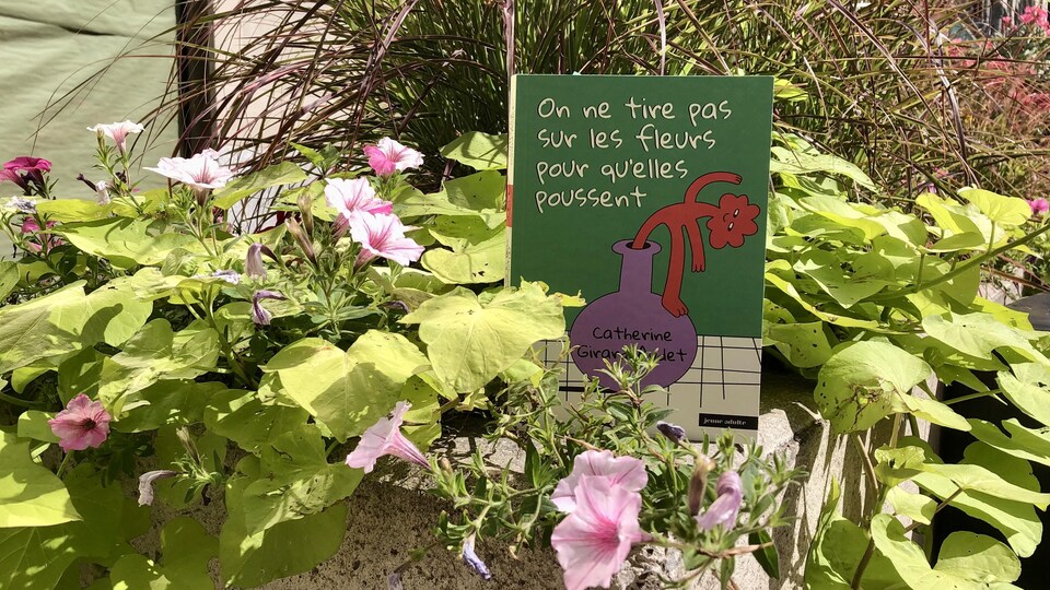 Le livre est debout parmi des fleurs et des graminées, dans une jardinière de béton.