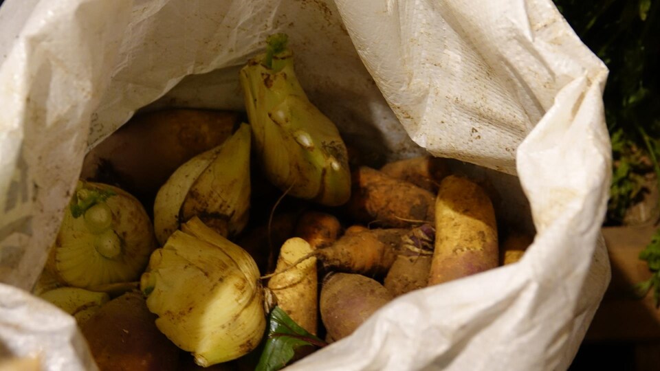 Des légumes dans une poche blanche entreposée à l'intérieur du caveau.