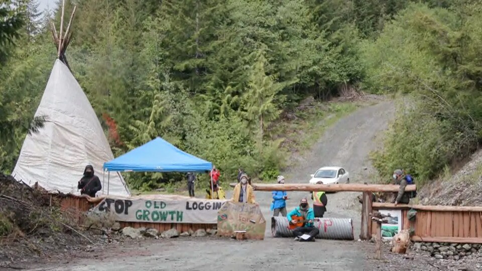 Une poignée de manifestants devant une barricade établie sur une route forestière.