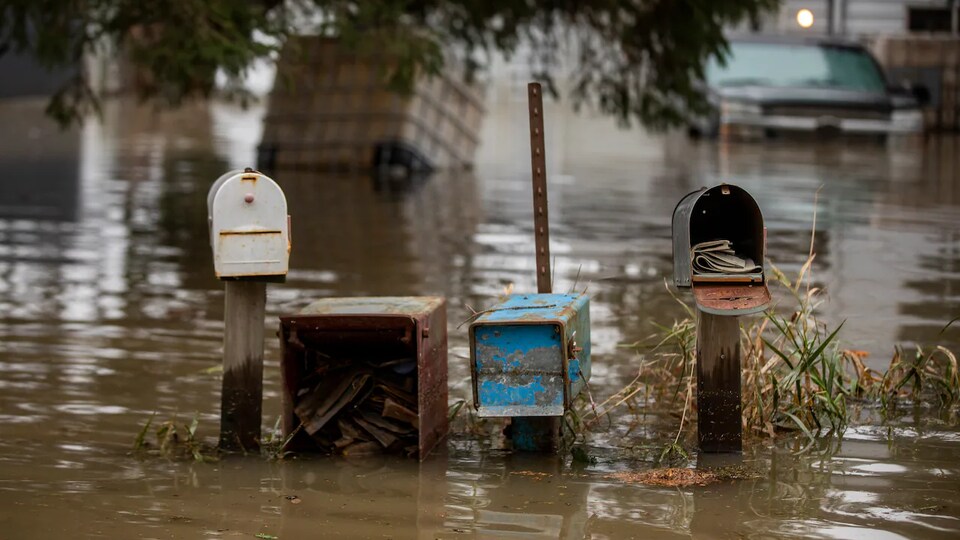Des boîtes aux lettres émergent d'un secteur inondé de Sumas Prairie, dans la région d'Abbotsford, en Colombie-Britannique.