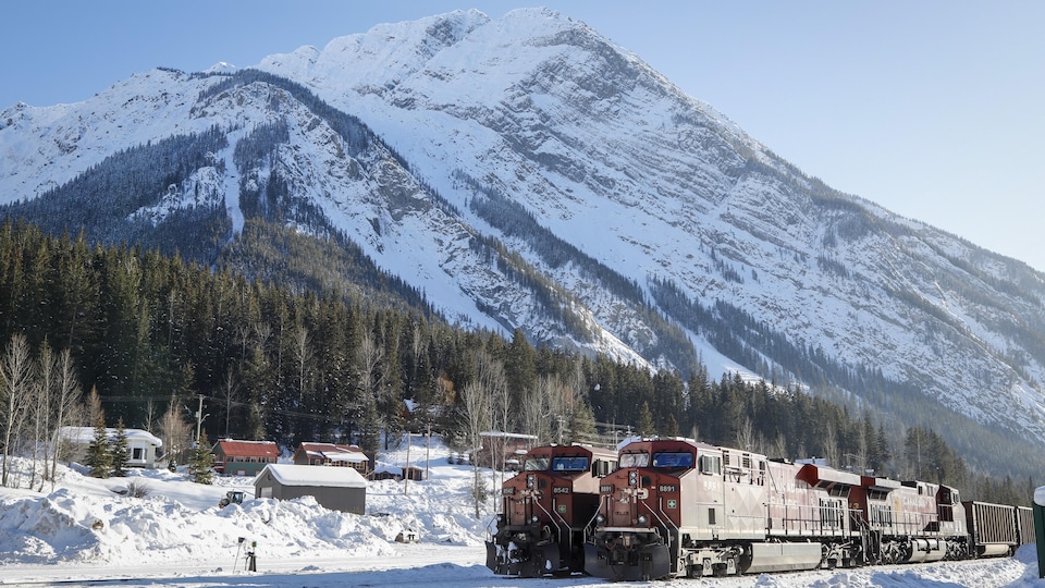 Deux trains tournés vers l'est et stationnés à Field, en Colombie-Britannique, attendent le feu vert des autorités pour se rendre en Alberta, le lundi 4 février 2019.