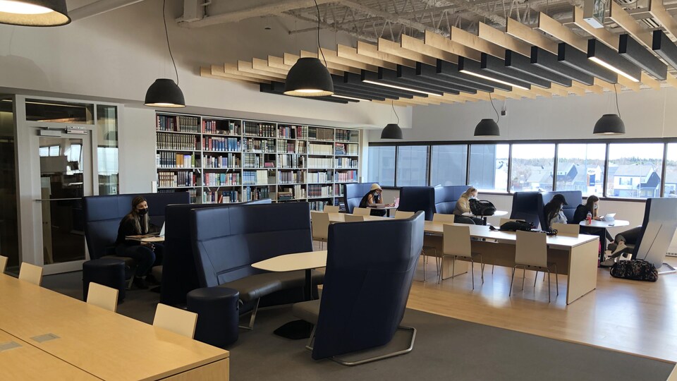 Plusieurs bureaux avec des banquettes sont installés dans la bibliothèque. Des étudiants sont au travail. 
