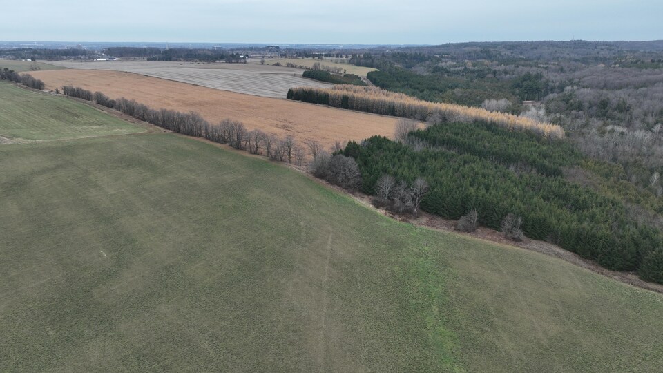 Des images de drone de la ceinture de verdure près de King City.