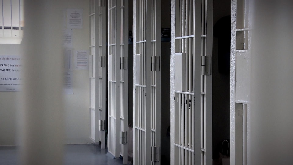 Une rangée de portes de prison à barreaux .