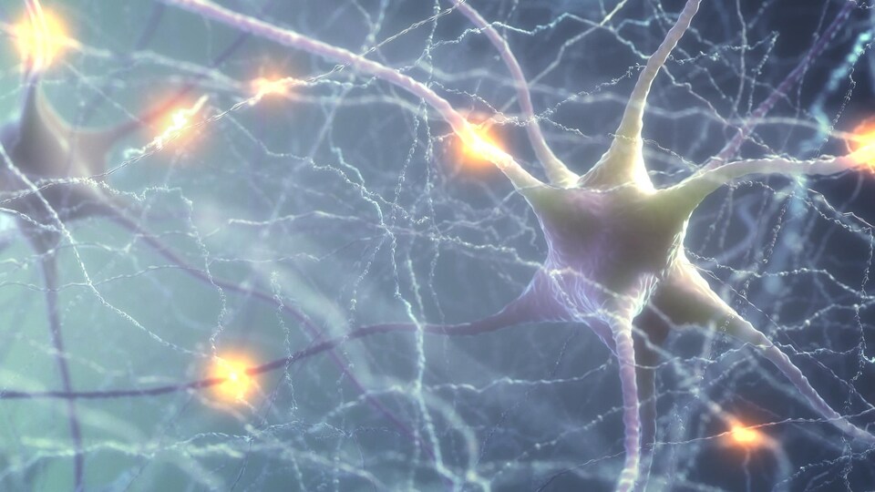 Représentation artistique de neurones et de synapses.