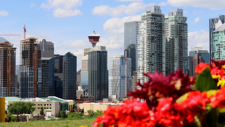 Des gratte-ciel et des fleurs au coeur de Calgary.