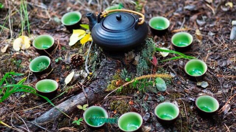 Une théière noire est déposée au sol dans la forêt alors que de petites tasses de thé sont disposées en cercle autour.