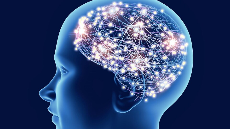 image numérique d'un cerveau avec des milliers de connections.