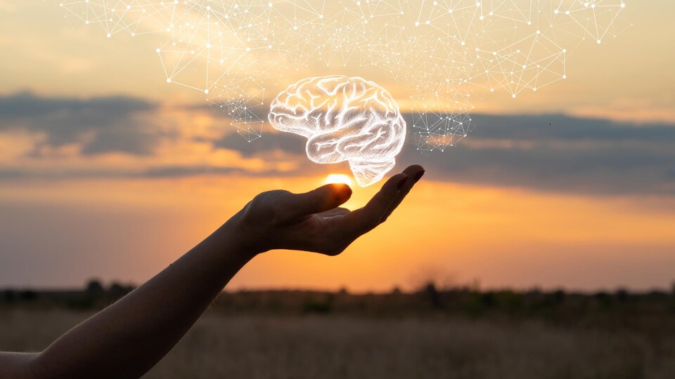 Illustration montrant une main tenant un cerveau humain devant un coucher de soleil.