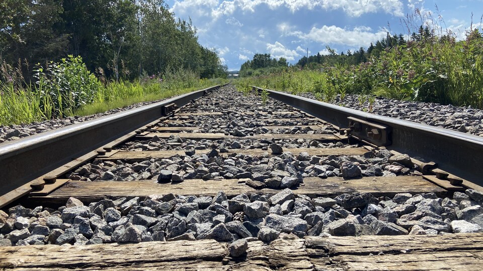 Des rails d'un chemin de fer.
