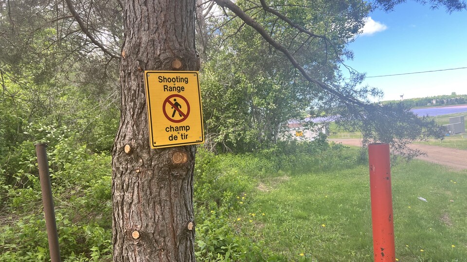 A sign nailed to a trunk with written 