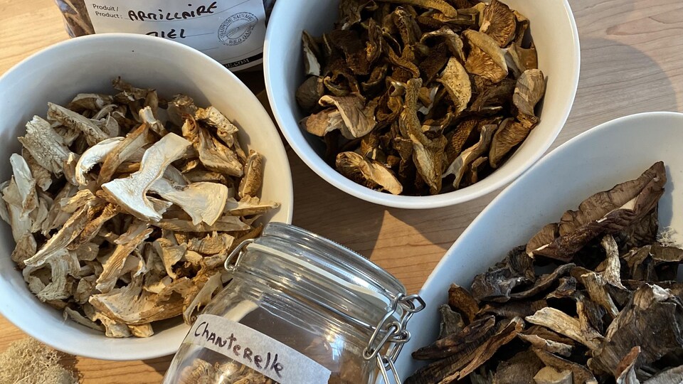 Des chanterelles et des armillaires séchés, issus de la cueillette de champignons sauvages de notre collaborateur, le chef de Métis-sur-mer Pierre-Olivier Ferry.