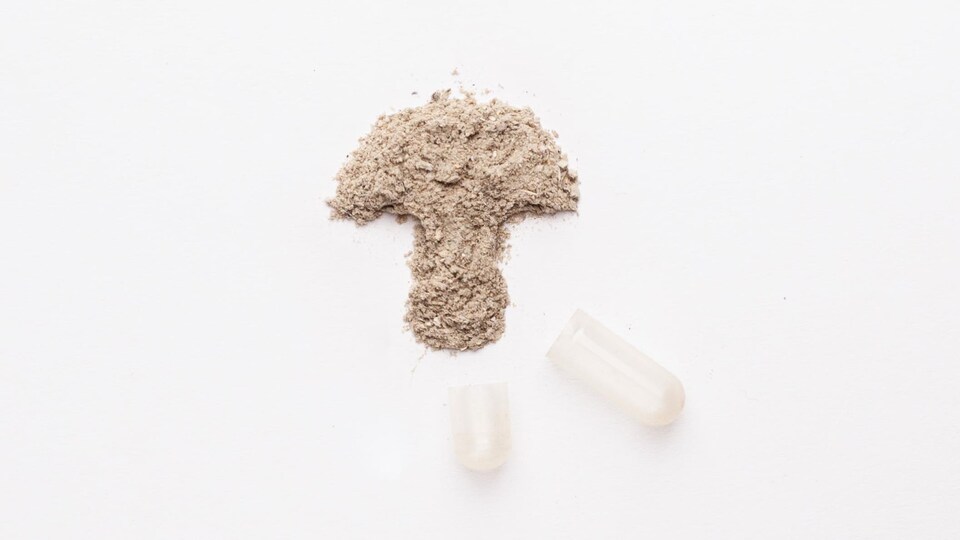 Une microdose de champignons magiques.