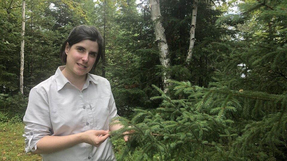 Émilie Champagne du ministère des Forêts, de la Faune et des Parcs du Québec.