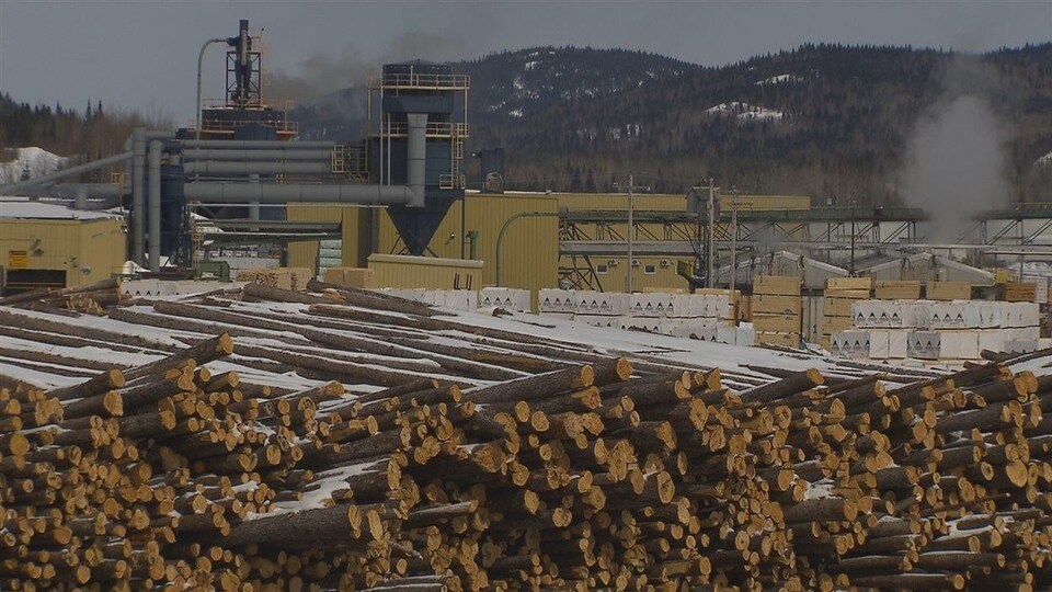 Billots de bois cordés devant l'usine de transformation de Chantiers Chibougamau