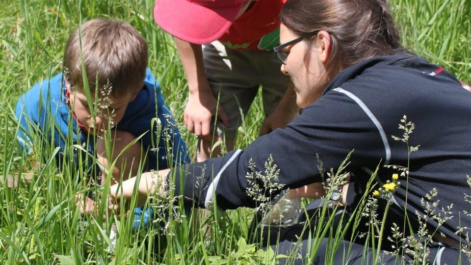 À la chasse aux insectes au Camp-École Chicobi