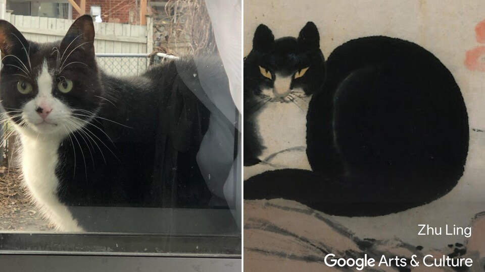Un chat est comparé à une œuvre d'art d'un chat similaire.
