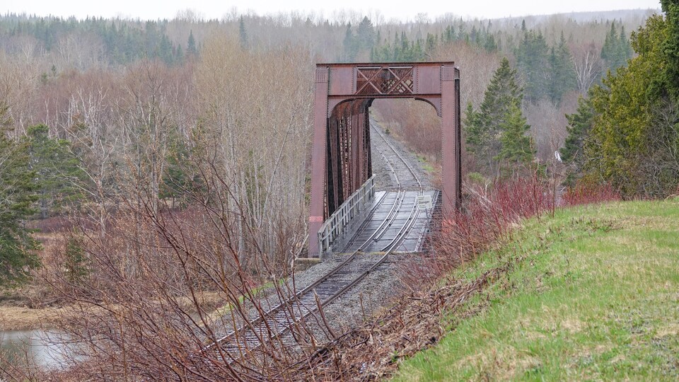 Un pont ferroviaire enjambe une rivière devant un paysage forestier.
